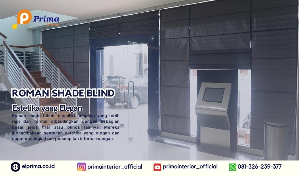 ROMAN SHADE BLIND SOLO (2) ROMAN SHADE BLIND SOLO (2)