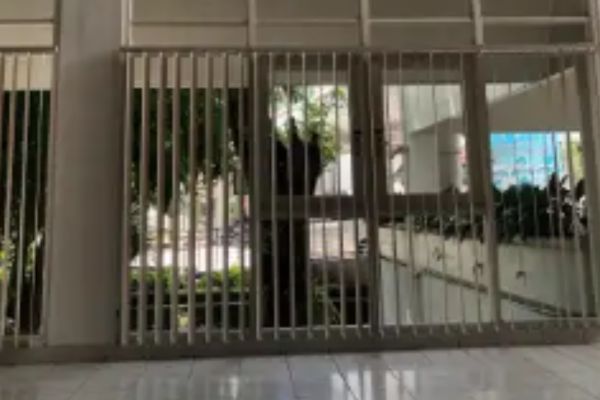 Vertical Blind Ngawi